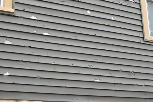 Shed Removal in Spencerville, NM